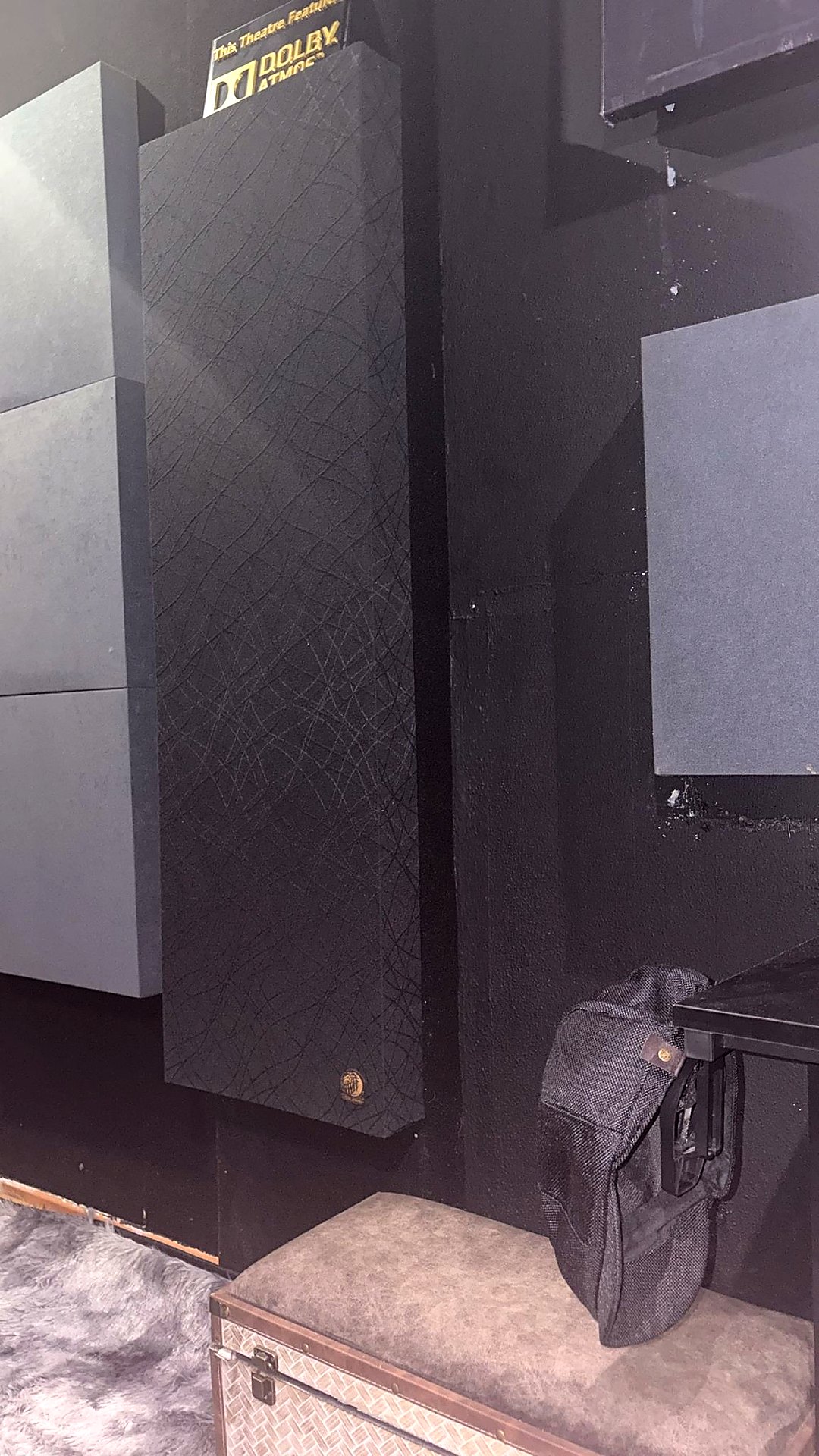 Home cinema Dolby Atmos tratado con Lion Acoustic